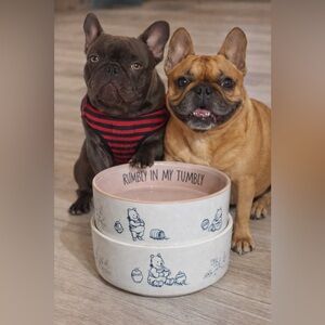 🐻✨ Disney Winnie the Pooh Stackable Pet Bowls Set ✨🐾